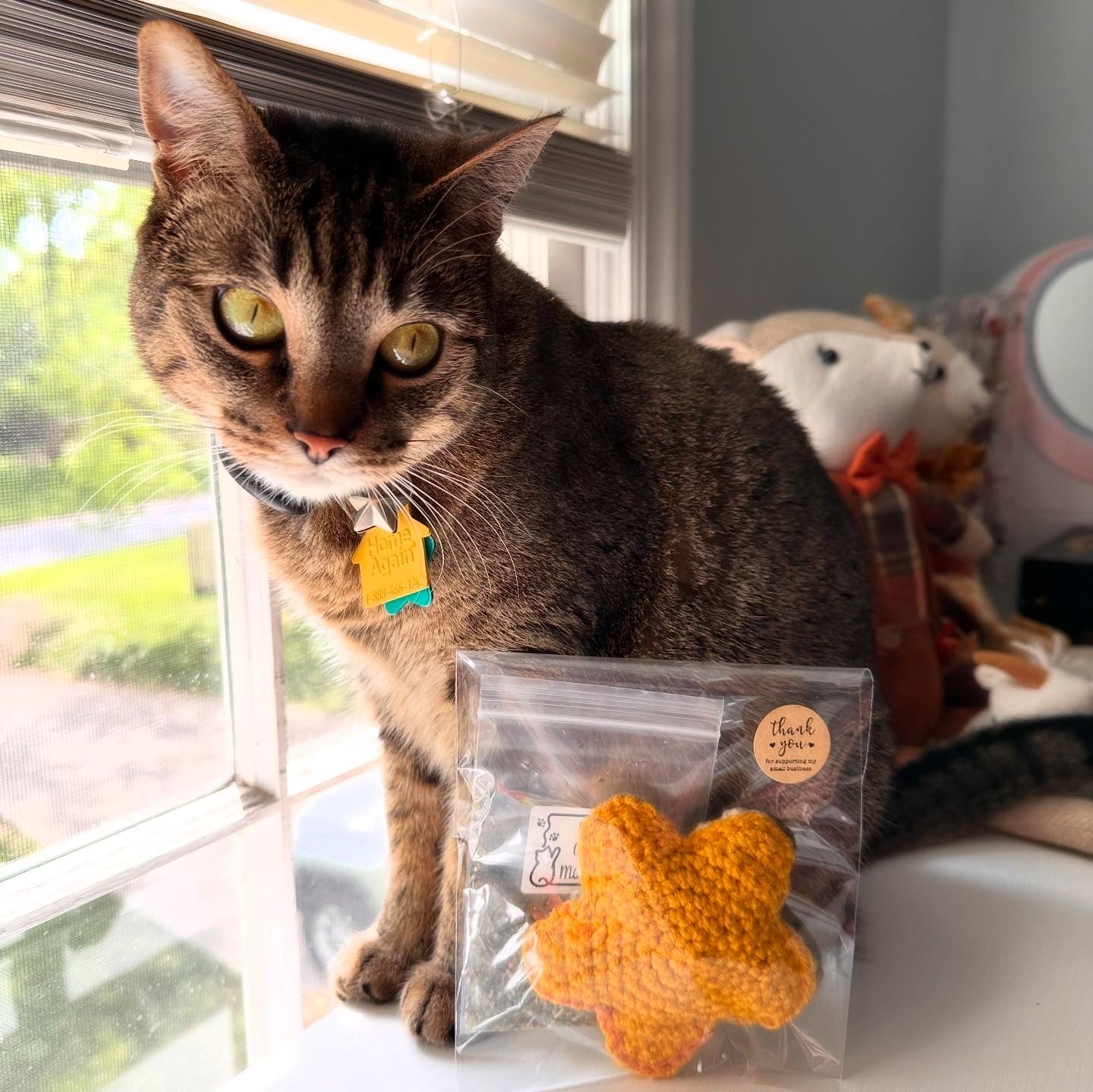 Crinkle Star toy